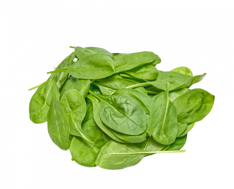 Baby Spinach Pure Harvest